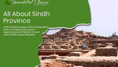 Sindh Province