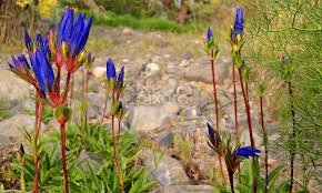 Hazar-Ganji-National-park-Quetta