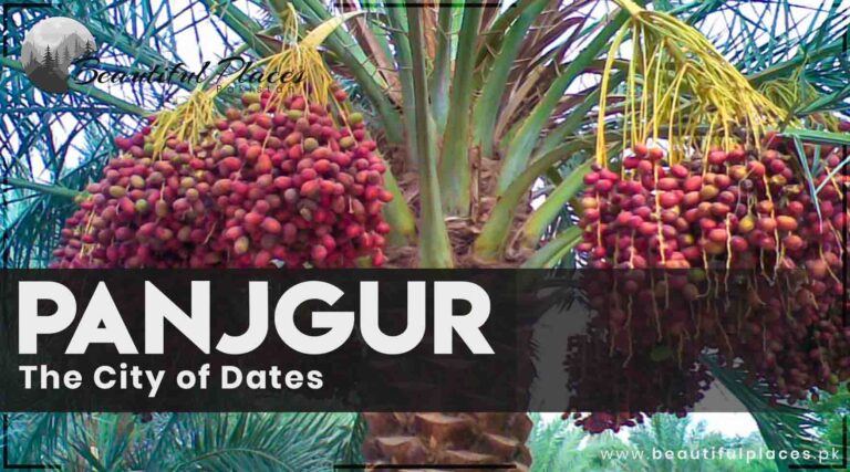 All About Panjgur District – Balochistan | The City of Dates