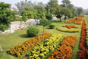 Ayub-National-Park-Rawalpindi