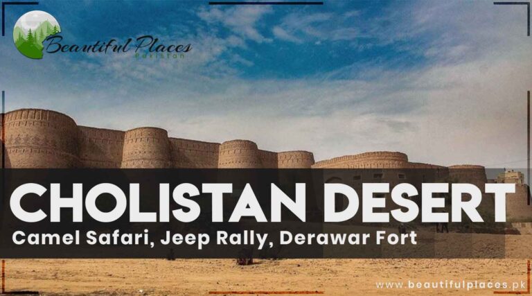 Cholistan Desert – Camel Safari, Jeep Rally | Derawar Fort