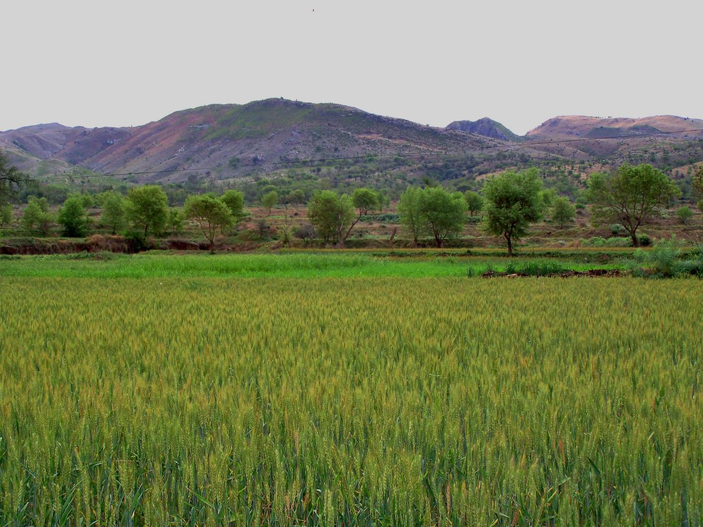 Khushab-Punjab-Pakistan