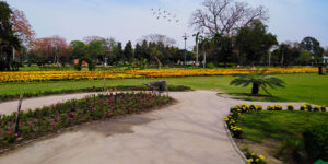 jinah-garden-Faisalabad-Pakistan