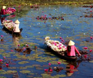 lotus-lake-islamabd-