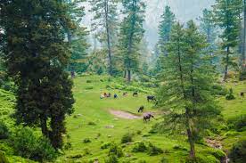 Bagh-District-Kashmir.