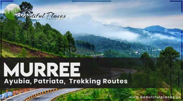 Murree | Famous Sites – Ayubia, Patriata | Trekking Routes