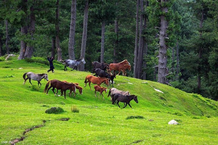  Sudhan-Gali-Azad-Kashmir.