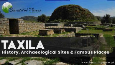 Taxila - History, Archaeological Sites & Famous Places