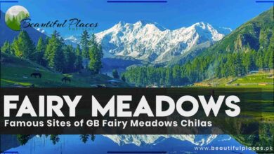 Famous Sites of GB | Fairy Meadows | Chilas