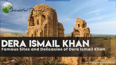 Famous Sites and Delicacies of Dera Ismail Khan