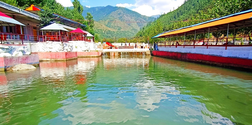 Trout farm in the Swat valley