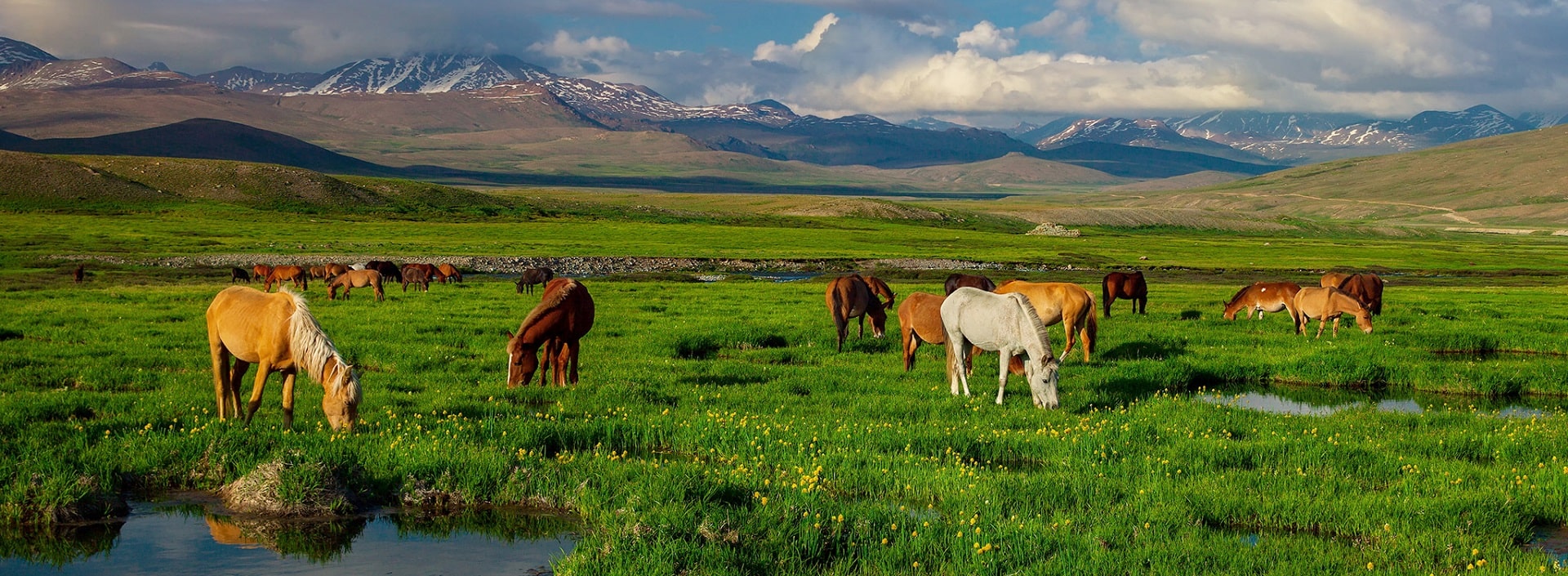  deosai-national-park-pakistan