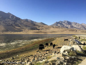  shandur-handarap-national-park.